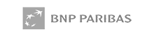 Bnp